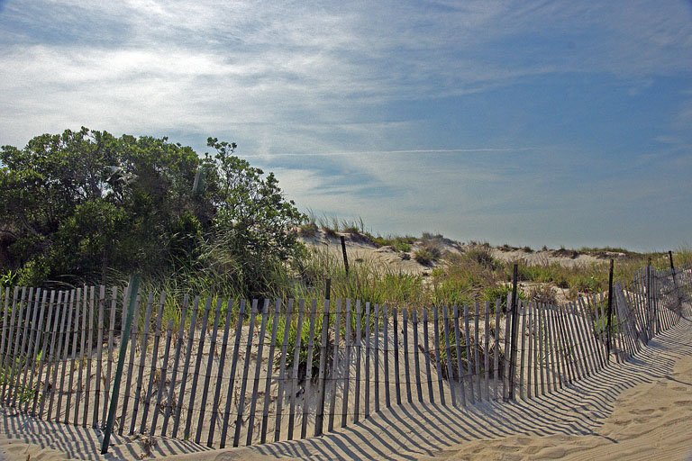 {20110716}birdsnickersonbeach0129copy3